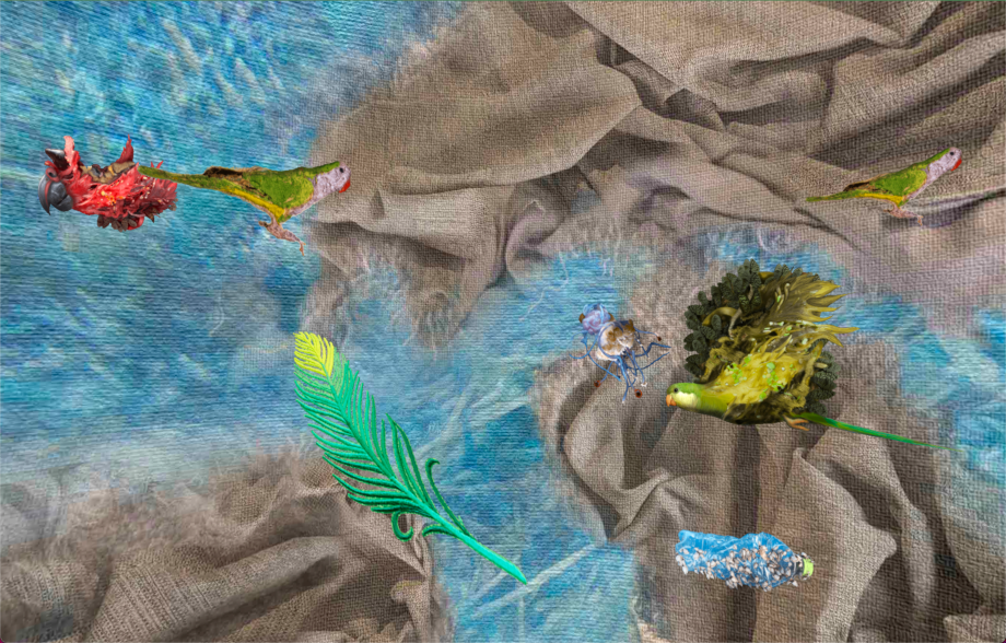 On Seas, Parrots and Intruders